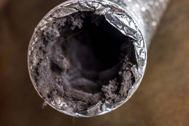 Best Local Air Duct Cleaning Services  in Claymont, DE